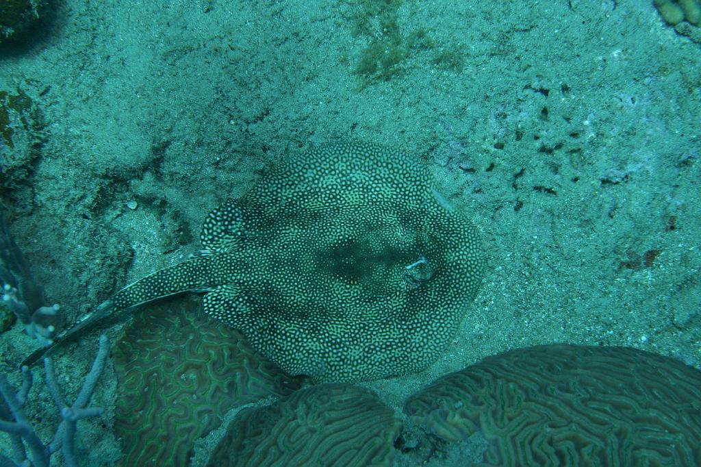 2008-05-19 17-14-37 H.JPG